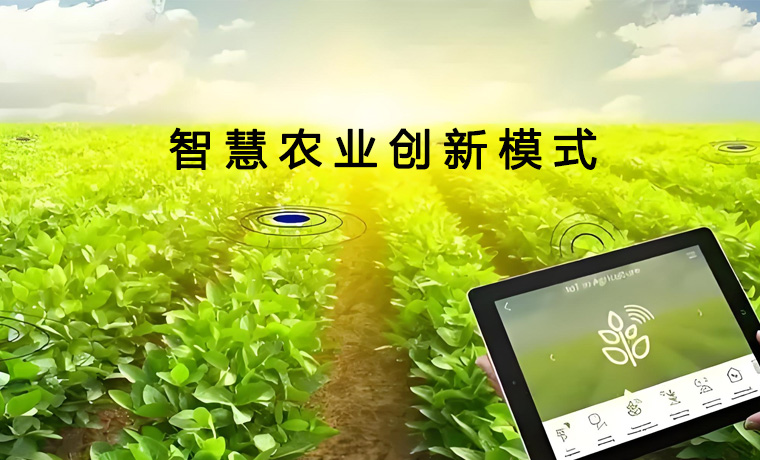 “数字+科技”双轮驱动赋能