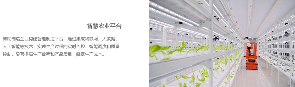 web智慧农业.jpg